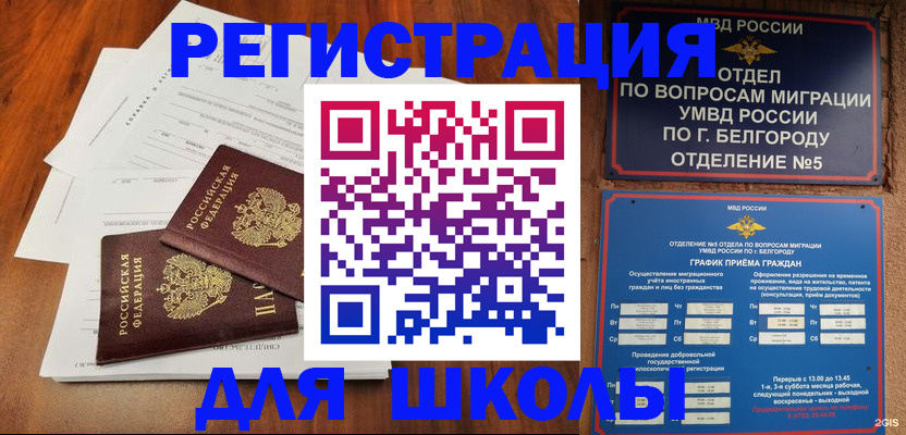 прописка поиск в Кингисеппе